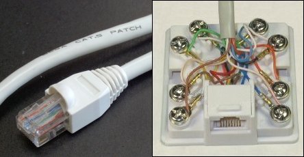 CAT Cable