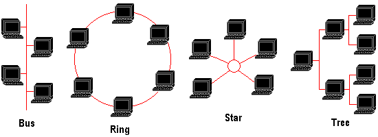 topology.gif (4807 bytes)