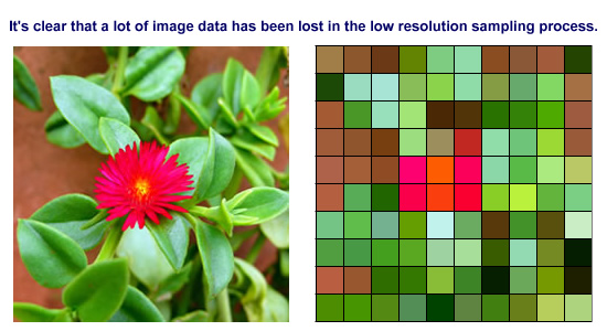 Side by side the original image and the resampled image show a lot of detail is lost in sampling.