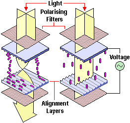 TN Polarising Filters