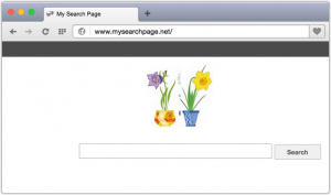 MySearchPage-net