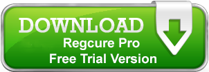 regcrue-download-button