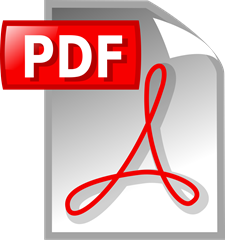 PDF File