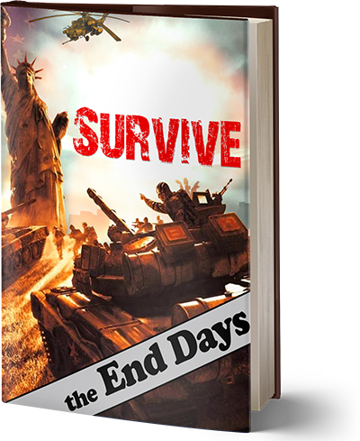 Survive the End Days 2